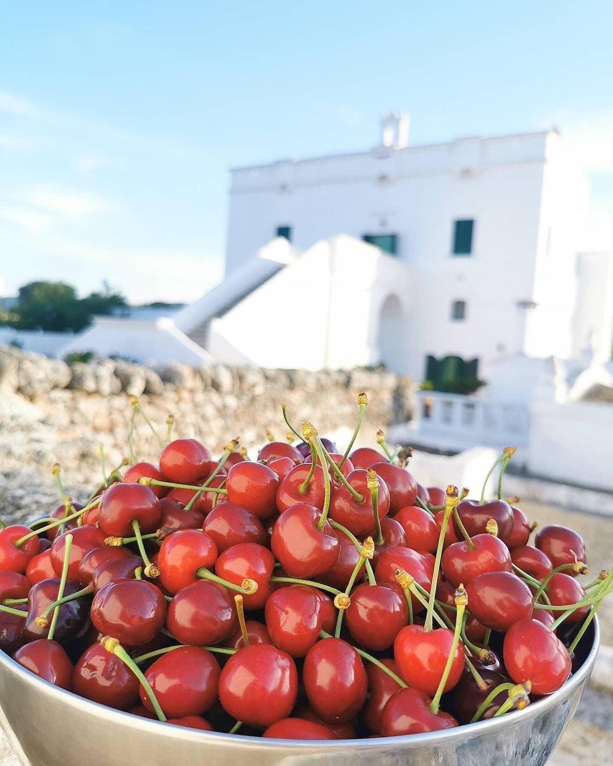 Masseria Mammella Aparthotel Monopoli Luaran gambar